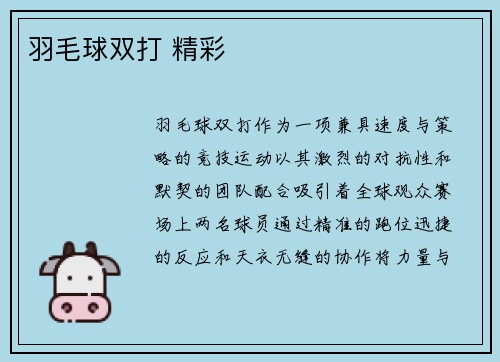 羽毛球双打 精彩